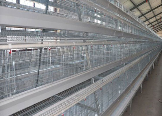 160 मुर्गियों के लिए बड़ी क्षमता जस्ती स्वचालित परत मुर्गी पिंजरे