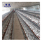 पशु एचडीजी बैटरी पिंजरे अंडे देने वाली मुर्गियां पोल्ट्री फार्म उपकरण