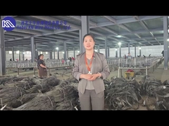 टैंक विरोधी बाधा जाल कार्यशाला का परिचय और प्रदर्शन