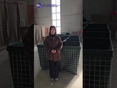 रक्षात्मक बाधा प्रदर्शन और व्याख्या के विभिन्न मॉडल