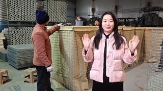 गैल्वनाइज्ड वेल्डेड बैरियर्स बैस्टियन बैरियर्स रेत बाढ़ दीवार