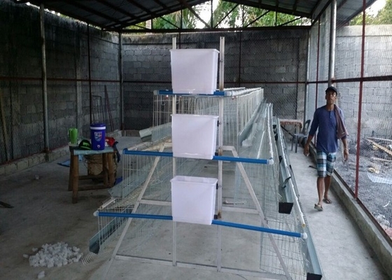 फिलीपीन फार्मों के लिए 3 स्तरों 4 कमरे 500-1000 पक्षी चिकन प्रजनन पिंजरे