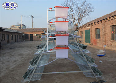 स्वचालित परत चिकन पिंजरे जस्ती सुविधा फार्म के लिए एक प्रकार का डिजाइन