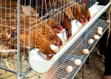 एग लेयर चिकन बैटरी केज, फार्म बिछाने मुर्गी पालन लेयर केज सिस्टम