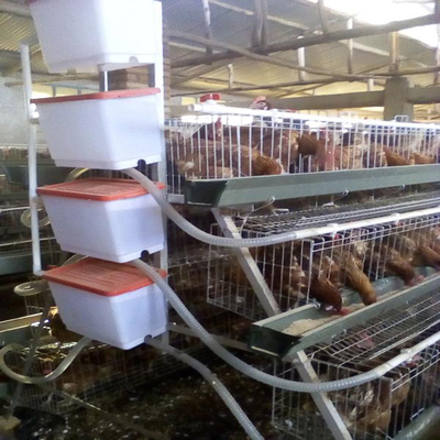 टिकाऊ पशु 3/4 स्तरों स्वचालित परत चिकन पिंजरे प्रकार ए