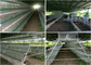 160 मुर्गियों का स्वचालित फीडिंग फार्म पोल्ट्री बिछाने वाली मुर्गियों का पिंजरा