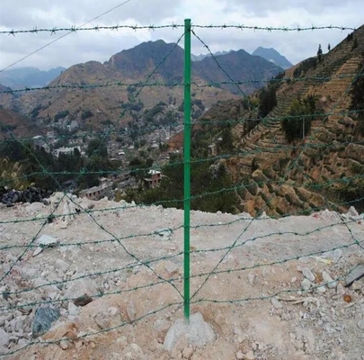 स्कूल परिसर विशेष कांटेदार तार जाल कांटेदार तार प्रति रोल की कीमत सस्ते कांटेदार तार रील बाड़ लगाने के लिए जस्ती कांटेदार तार प्रति सेट