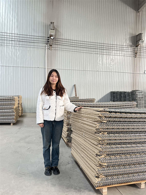 Galvanized Steel Defensive Barrier Wall 4mm Wire Mesh