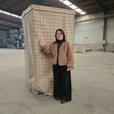 Military Barrier Hesco Bastion Wire Mesh Gabion Box with Spiral Tie Wire and Thick Wire Diameter for Enhanced Stability