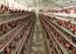मुर्गी पालन के लिए Q235 कम कार्बन स्टील वायर मेष परत चिकन केज