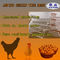 मुर्गी फार्म के लिए HDG स्वचालित एक प्रकार चिकन परत पिंजरे