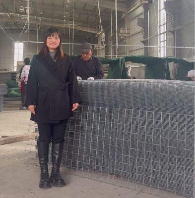 SX10 रेत से भरा हुआ हेस्को जियोटेक्स्टिल के साथ रक्षात्मक बाधाएं सैन्य गैबियन बाधाएं हेस्को बाधा कीमत