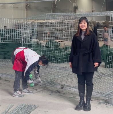 मिलिट्री डिफेंसिव बैरियर वॉल प्रोटेक्शन जस्ती जियोटेक्सटाइल के साथ लेपित