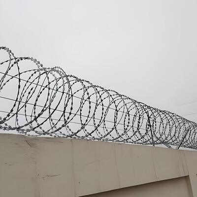 50 सेमी कुंडलित स्टेनलेस स्टील टेप कॉन्सर्टिना बीटीओ-16 रेजर कांटेदार तार बाड़